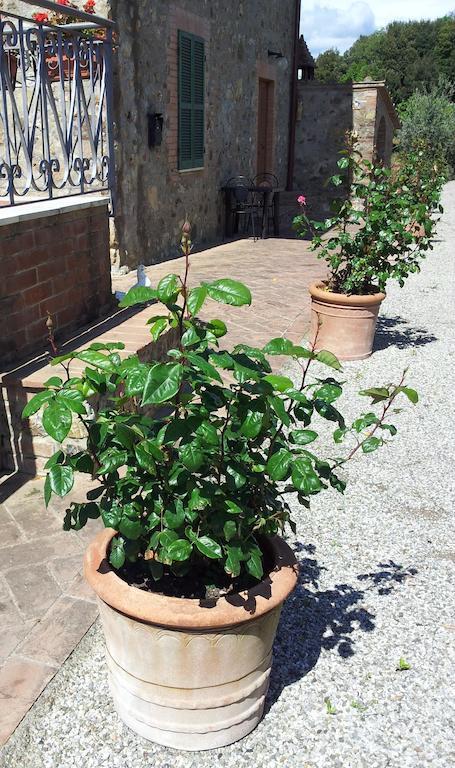 Villa Casa Guaitoli Bagni Di Petriolo Exterior foto